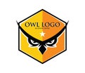 ambitious sharp vision eyes owl bird vector logo design Royalty Free Stock Photo