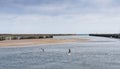 Amble harbour, Northumberland, UK at low tide with seabirds Royalty Free Stock Photo