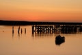 Amble Harbour sunrise Royalty Free Stock Photo