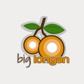 Longan fruit logo design