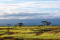 Amboseli National Park Royalty Free Stock Photo