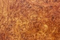 Amboyna burl wood strip wallpapeer background exotic Royalty Free Stock Photo