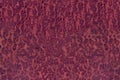 amboyna burl wood strip wallpaper background exotic