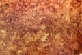 amboyna wood exotic burl strip wallpaper background Royalty Free Stock Photo