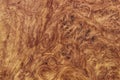 amboyna wood exotic burl strip wallpaper background