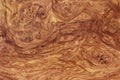 amboyna wood exotic burl strip wallpaper background Royalty Free Stock Photo