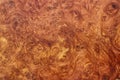 amboyna wood exotic burl strip wallpaper background