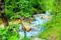 Ambro river flowing and creating white foam with vegetation Royalty Free Stock Photo