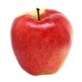 Ambrosia Apple