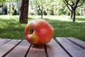 Ambrosia apple on wooden boards in the orchard