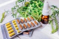 Ambrosia artemisiifolia allergy. Pills and nasal spray to cure ragweed allergy. Healthcare and medicine Royalty Free Stock Photo