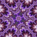 Purple Ambrosia fractal with swirls and stars