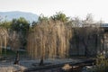 Ambroz River as it passes through Abadia, Caceres, Extremadura, Spain next to weeping willow without leaves in winter