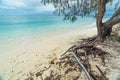 Amedee Island beach, New Caledonia