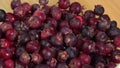 Amelanchier berries fruit pour in bowl, also known as shadbush, shadwood or shadblow, serviceberry, sarvisberry or just