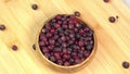 Amelanchier berries fruit rotate background, also known as shadbush, shadwood or shadblow, serviceberry, sarvisberry or