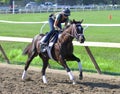 Morning Workouts from Saratoga Springs, NY