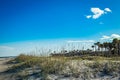 Amelia Island Dunes Royalty Free Stock Photo