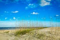 Amelia Island Dunes Royalty Free Stock Photo