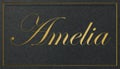 Amelia Name Card: Golden Shining Elegance
