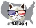 Ameowrica Fourth of july festive mascot