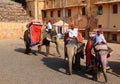 Amer Fort or Amber Fort. Decorated elephants and elephant riders waiting for tourists