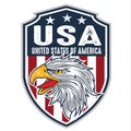 Head Eagle Head mascot Logo FlagUSA AmericaVector