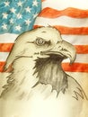 Hand drawn bald eagle and American flag Royalty Free Stock Photo