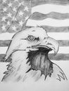 Bald Eagle and American Flag Royalty Free Stock Photo