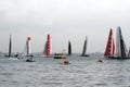 America's cup Royalty Free Stock Photo