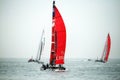 America's cup world series Royalty Free Stock Photo