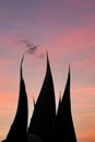 American agave in Calvi Corsica at the mediterranean sea