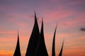 American agave in Calvi Corsica at the mediterranean sea