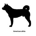 American Akita black and white contour drawing