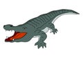 American Alligator illustration vector.Alligator vector
