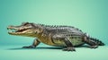 American Alligator resting on a vibrant green landscape