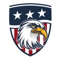 Eagle Made in Usa united states of america logo vector usa Flag America 4