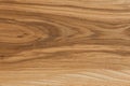 American Ash wooden board with beautiful pattern Royalty Free Stock Photo