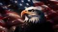 American Bald Eagle on the background of the USA flag. United States of America patriotic symbols Royalty Free Stock Photo