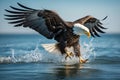 American Bald Eagle Fishing . AI generated Illustration Royalty Free Stock Photo