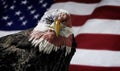 American Bald Eagle on Flag Royalty Free Stock Photo