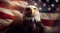 American Bald Eagle with flag. United States of America patriotic symbols. Royalty Free Stock Photo