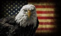 American Bald Eagle on Grunge Flag