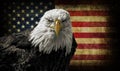 American Bald Eagle on Grunge Flag Royalty Free Stock Photo