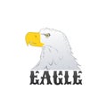 American Bald Eagle or Hawk Head Mascot Graphic, Bird facing side. T-shirt graphics. Vector illustration isolated on white Royalty Free Stock Photo