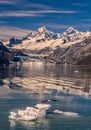 American bald eagle leaves its perch and flies toward John Hopkins Glacier on clear day in Alaska Royalty Free Stock Photo