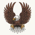 American bald eagle sticker colorful