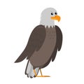 American bald eagle vector