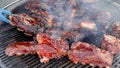 American Barbecue, Frying Fresh Meat, Chicken Barbecue,Pork, Ribs, Kebab, Hamburger, BBQ,Josper, Beef. Sunny outdoor Royalty Free Stock Photo