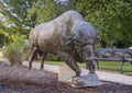 American Bison by Anita Pauwels, public art in Frisco, Texas. Royalty Free Stock Photo